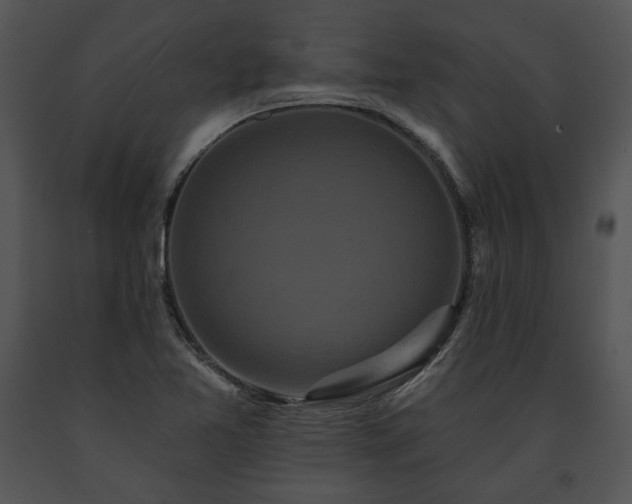 X0000091641365200708301350
