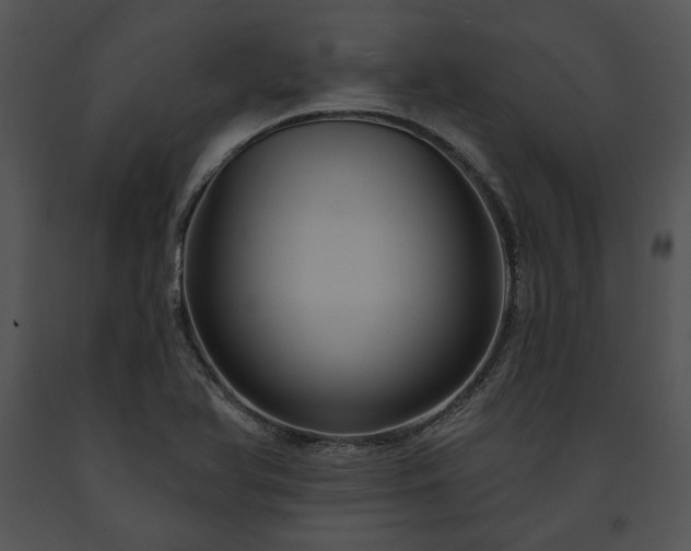 X0000091641366200708301350
