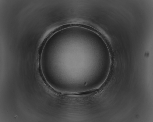 X0000091641368200708301350