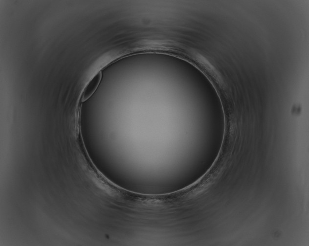 X0000091641370200708301350