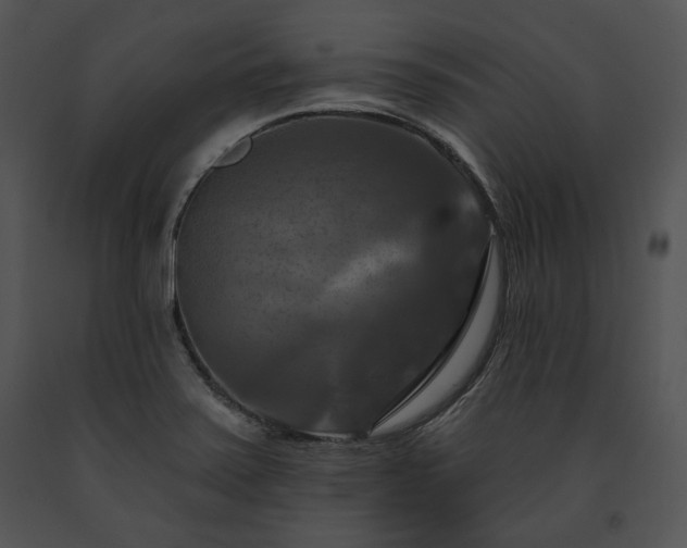 X0000091641371200708301350
