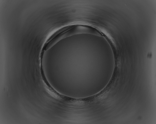 X0000091641372200708301350