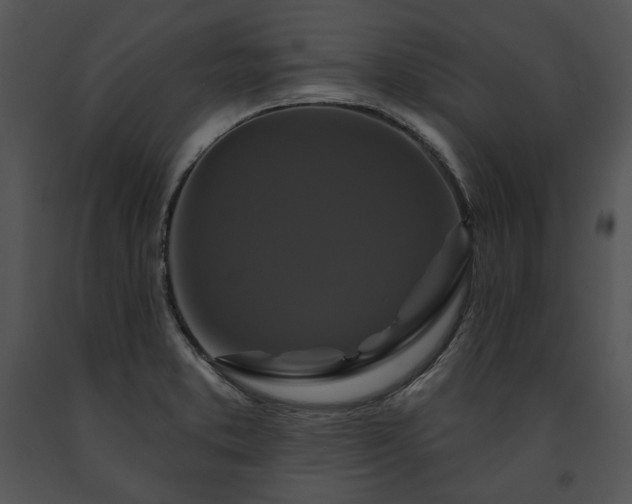 X0000091641373200708301350