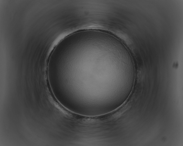 X0000091641374200708301350