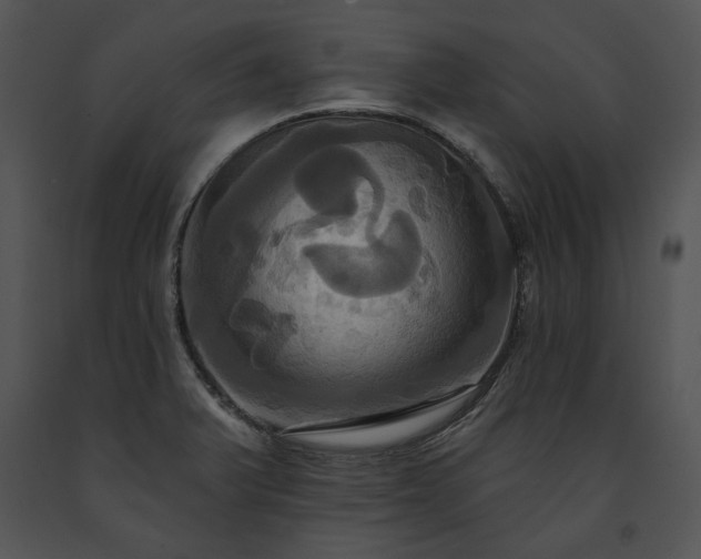 X0000091641375200708301350
