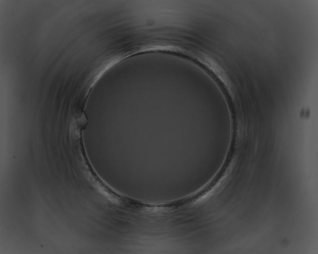 X0000091641377200708301350