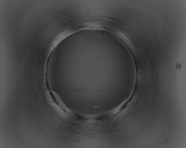 X0000091641378200708301350