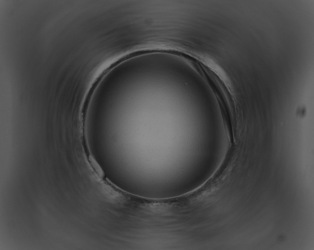 X0000091641380200708301350