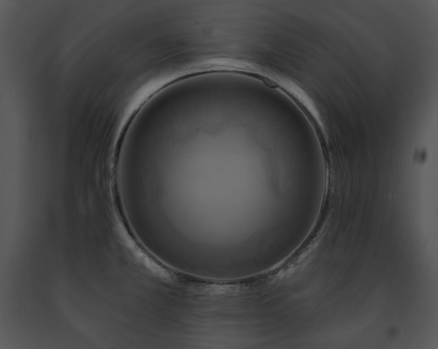 X0000091641381200708301350