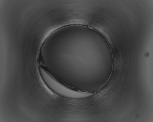 X0000091641383200708301350