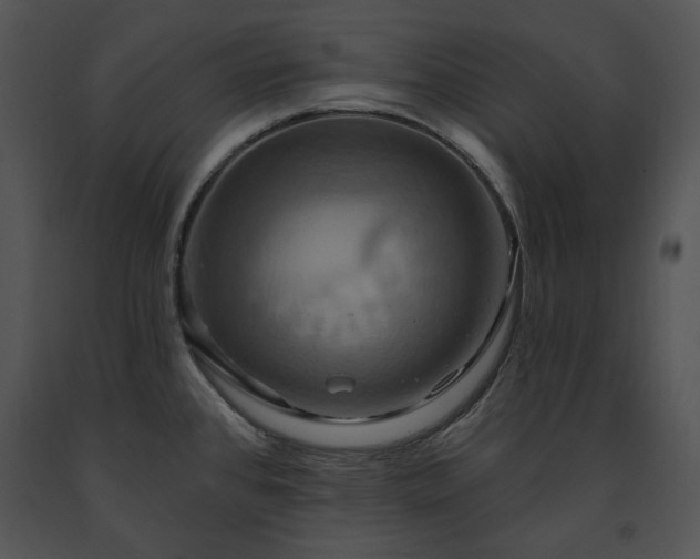 X0000091641384200708301350