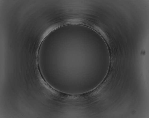 X0000091641386200708301350