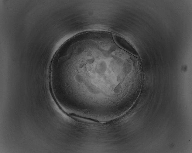 X0000091641387200708301350
