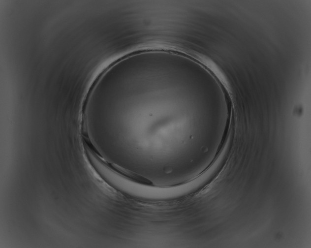 X0000091641388200708301350