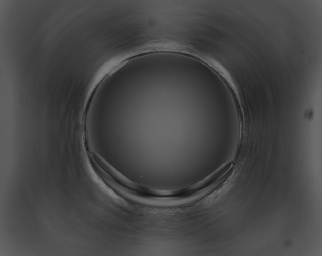 X0000091641389200708301350