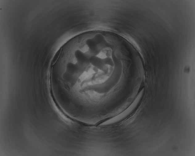 X0000091641391200708301350
