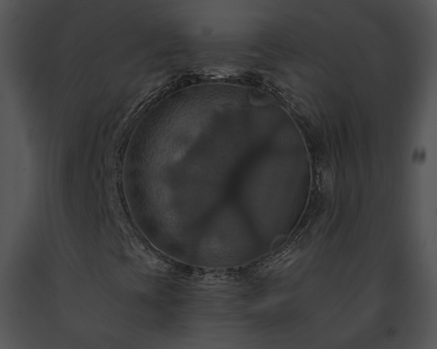 X0000091641393200708301349