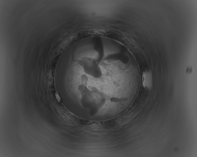X0000091641395200708301349