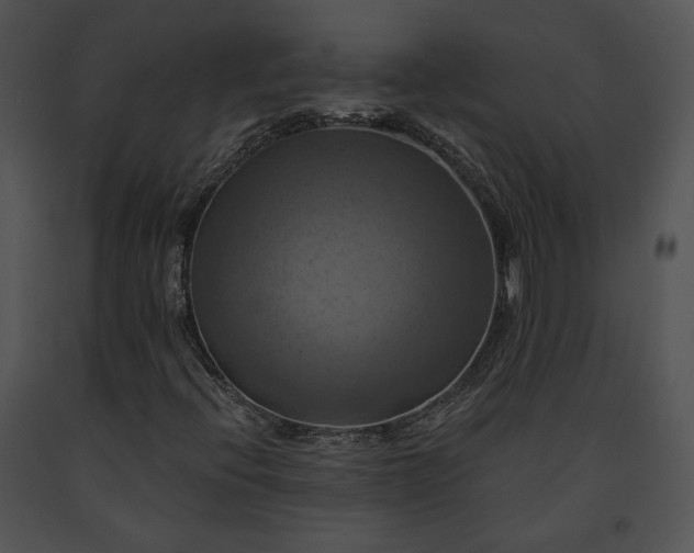 X0000091641396200708301349