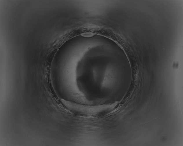 X0000091641397200708301349