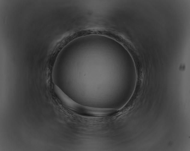 X0000091641398200708301349