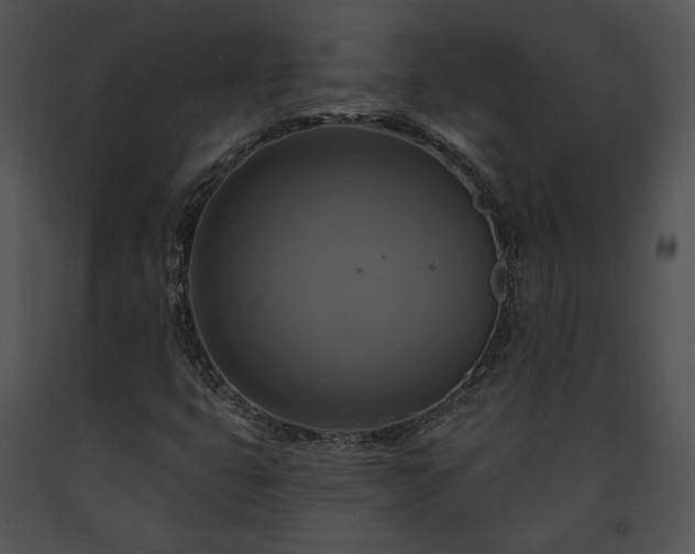 X0000091641399200708301349