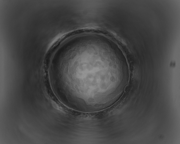 X0000091641400200708301349