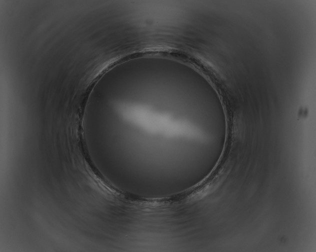 X0000091641401200708301349