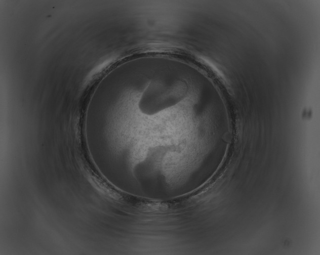 X0000091641403200708301349