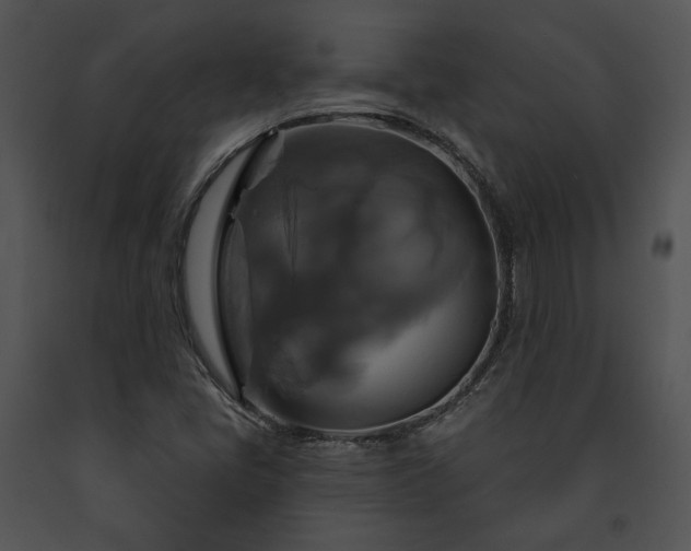 X0000091641405200708301349