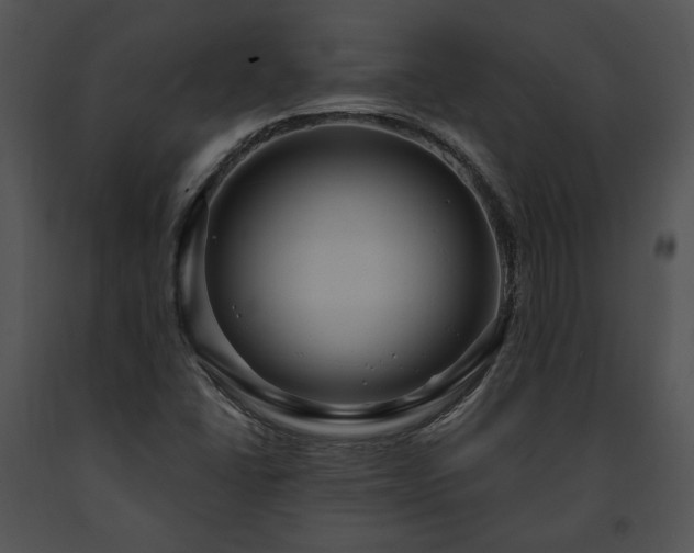 X0000091641406200708301349