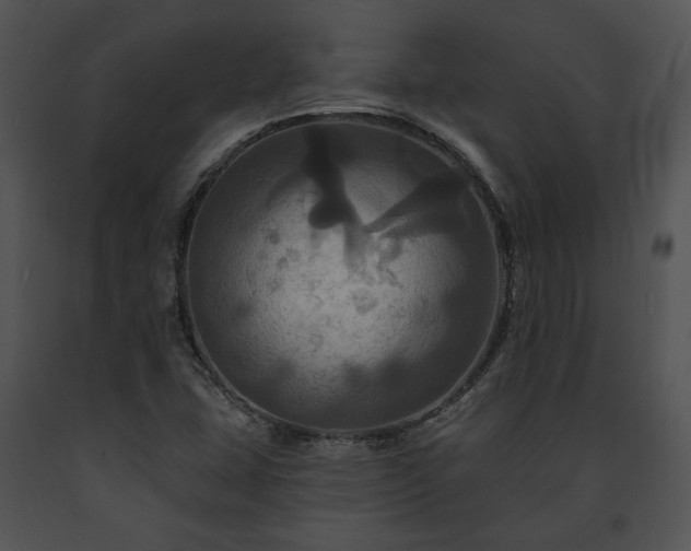 X0000091641407200708301349