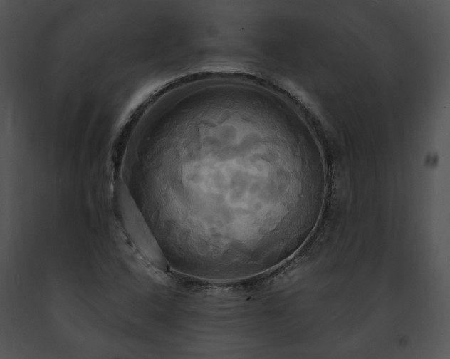X0000091641408200708301349