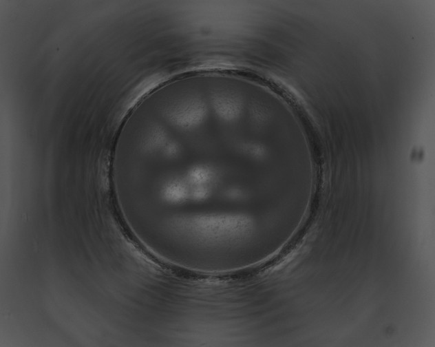 X0000091641409200708301349