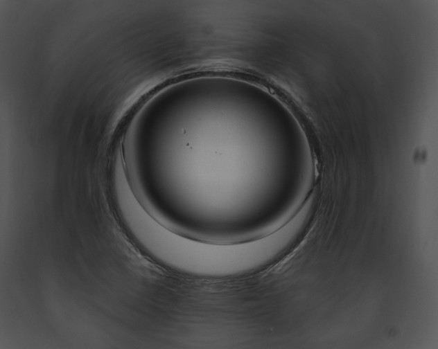 X0000091641410200708301349