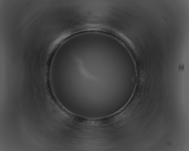 X0000091641411200708301349