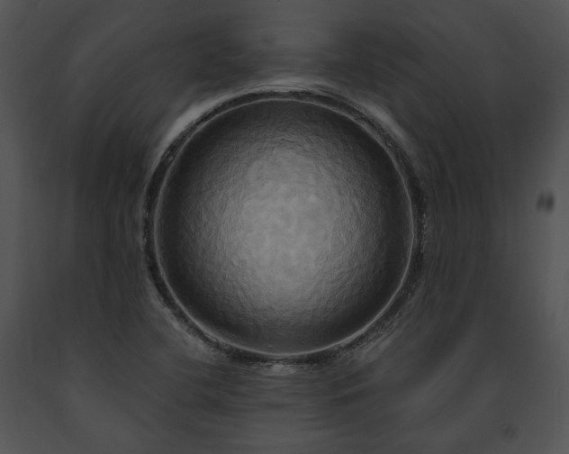 X0000091641412200708301349