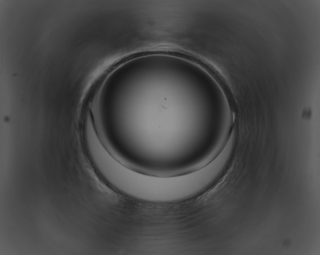X0000091641414200708301349