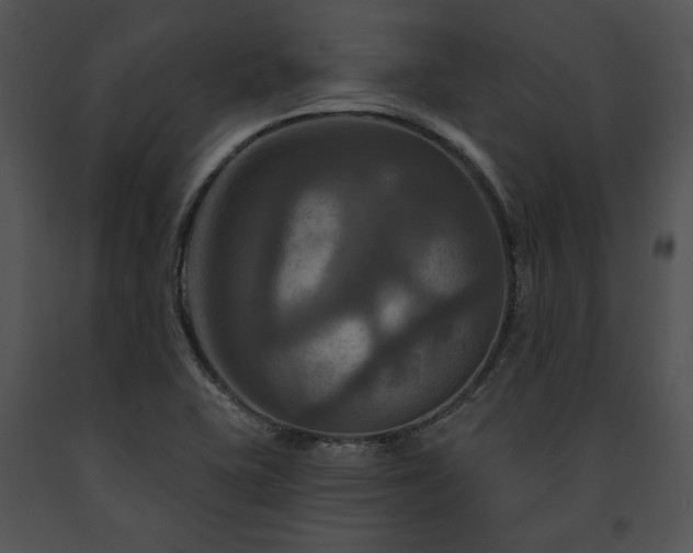X0000091641415200708301349