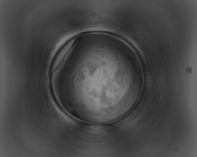 X0000091641416200708301349