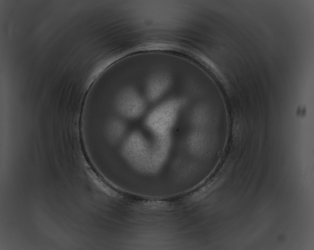 X0000091641417200708301349
