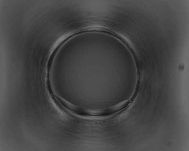 X0000091641418200708301349