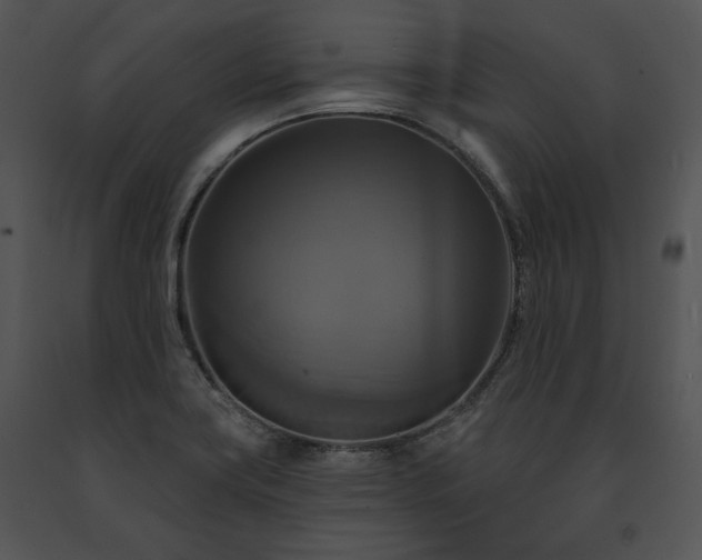 X0000091641419200708301349
