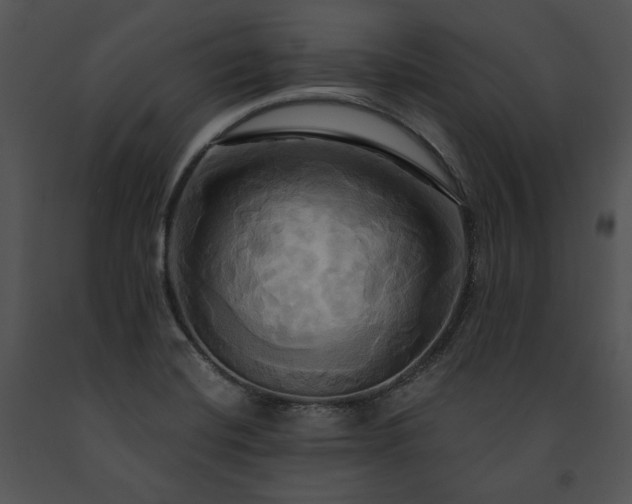 X0000091641420200708301349