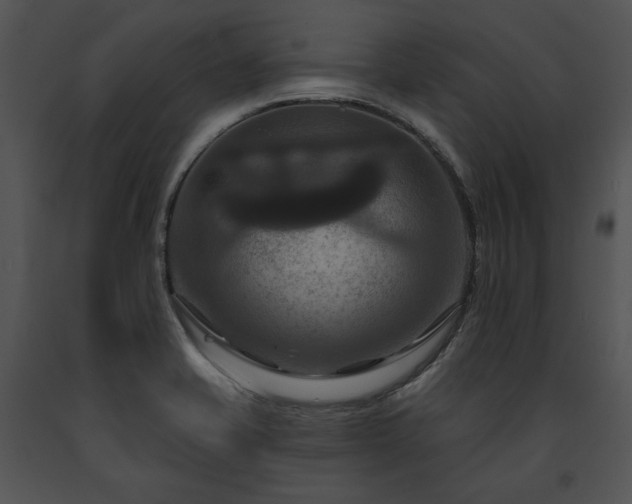 X0000091641421200708301349