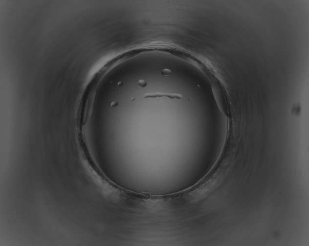 X0000091641422200708301349