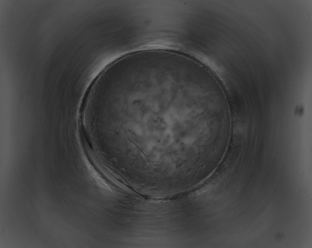 X0000091641423200708301349