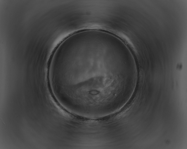 X0000091641424200708301349