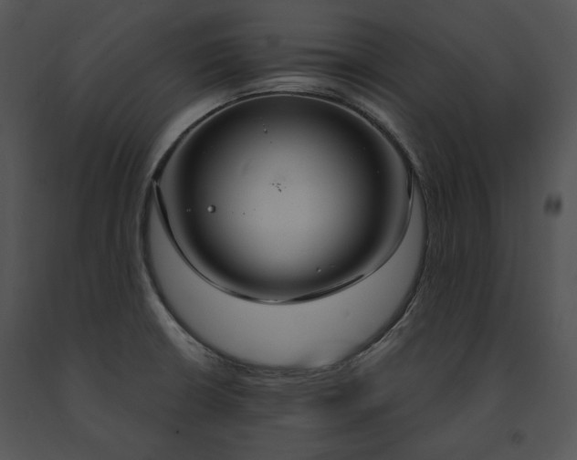 X0000091641426200708301349