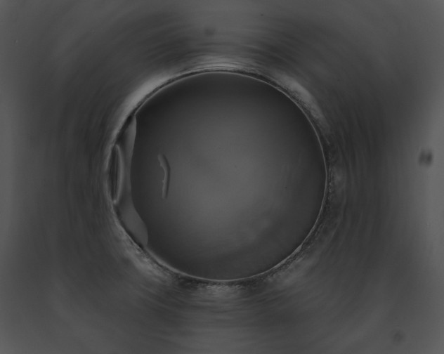 X0000091641427200708301349